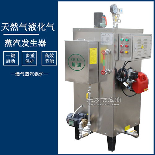 食品加工專用30kg天然氣蒸汽發(fā)生器小型燃?xì)庹羝仩t圖片