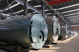 江蘇鍋爐廠 淮安1噸燃?xì)忮仩t 淮安1噸燃?xì)庹羝仩t價(jià)格圖片 高清大圖 谷瀑環(huán)保