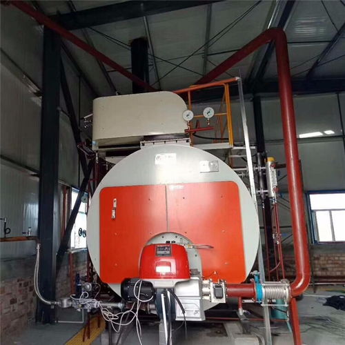 冷凝蒸汽鍋爐價格解析 以WNS系列為例